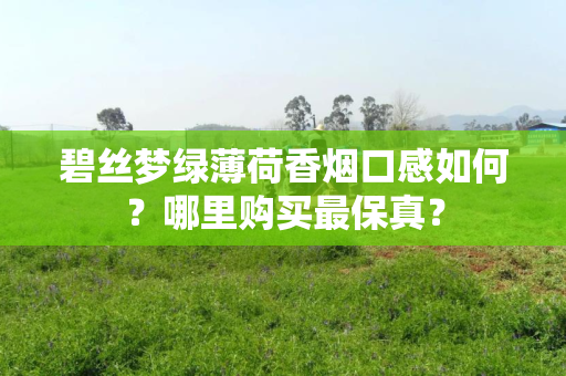 碧丝梦绿薄荷香烟口感如何？哪里购买最保真？